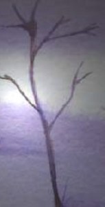 DL___Week 15 single tree